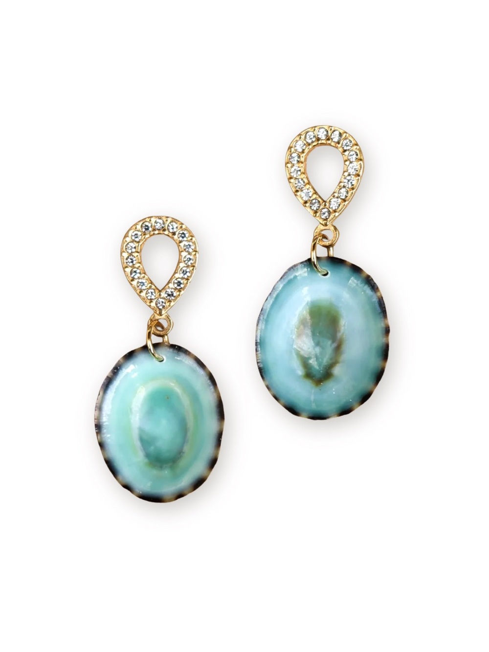 Limpet Shell Earrings